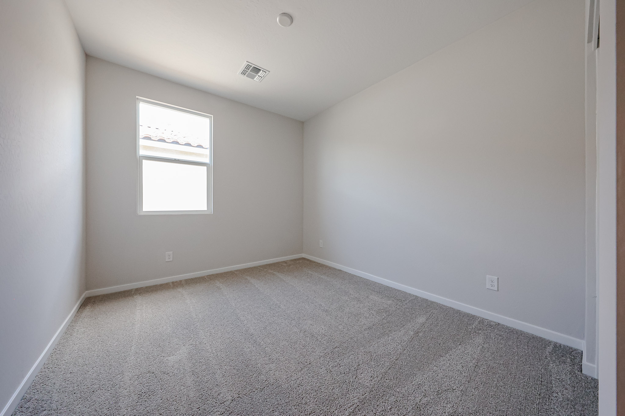 A room with a carpet and windows.
