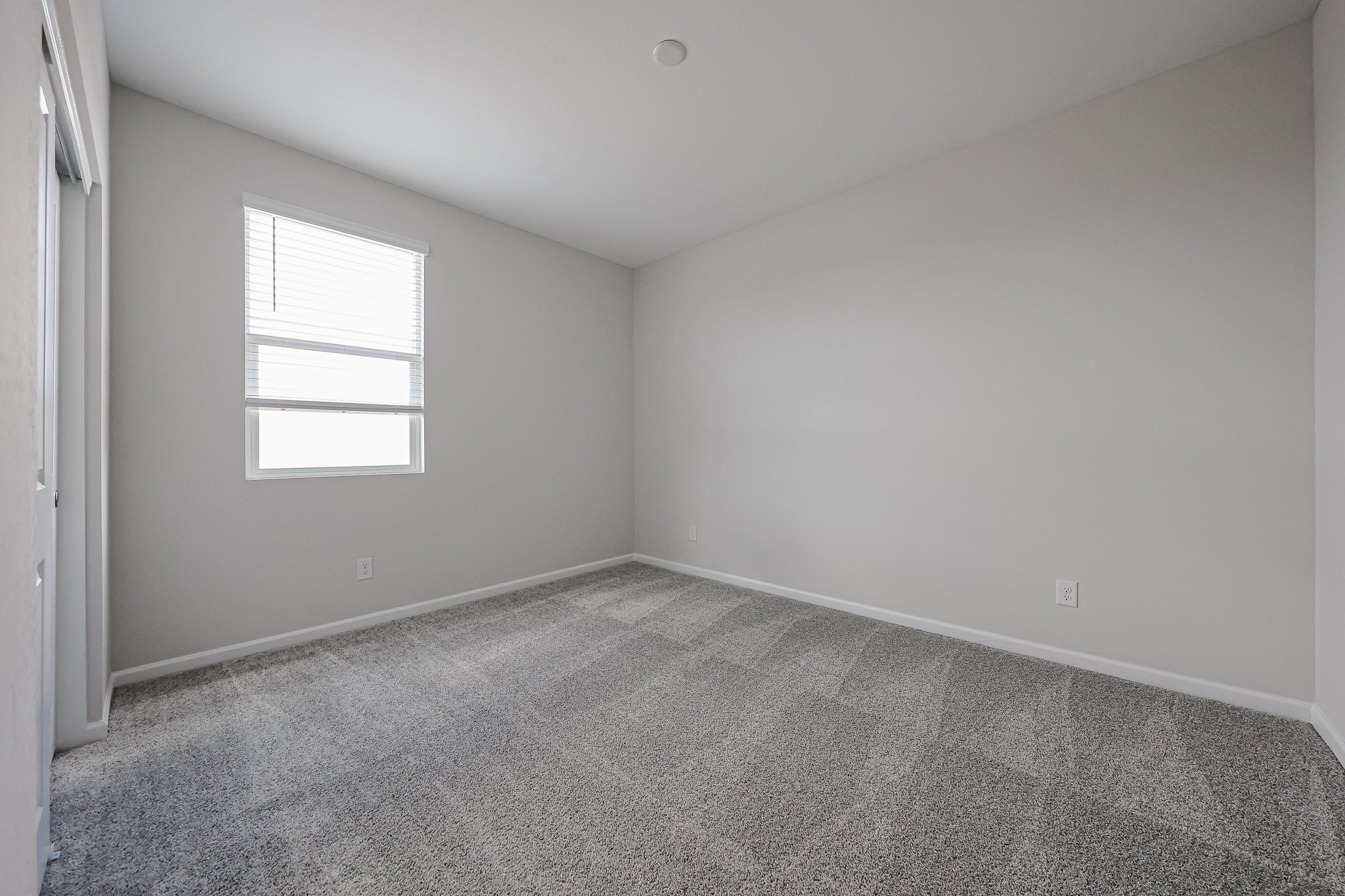 A room with a carpet and a window.