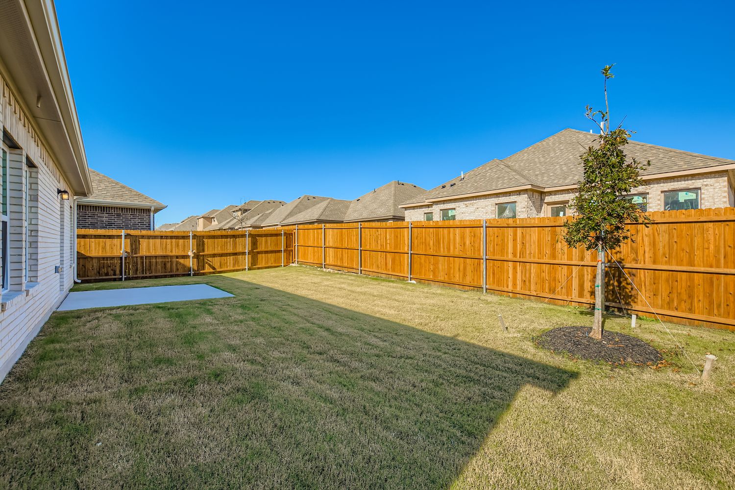 A fenced in yard with a tree and a pool.