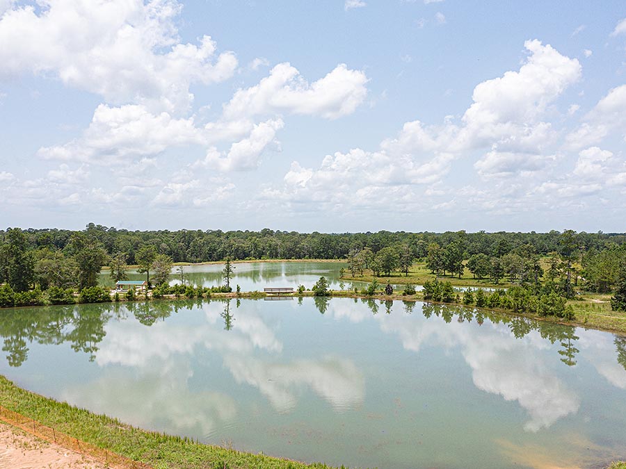 A body of water with trees and a building in the background.