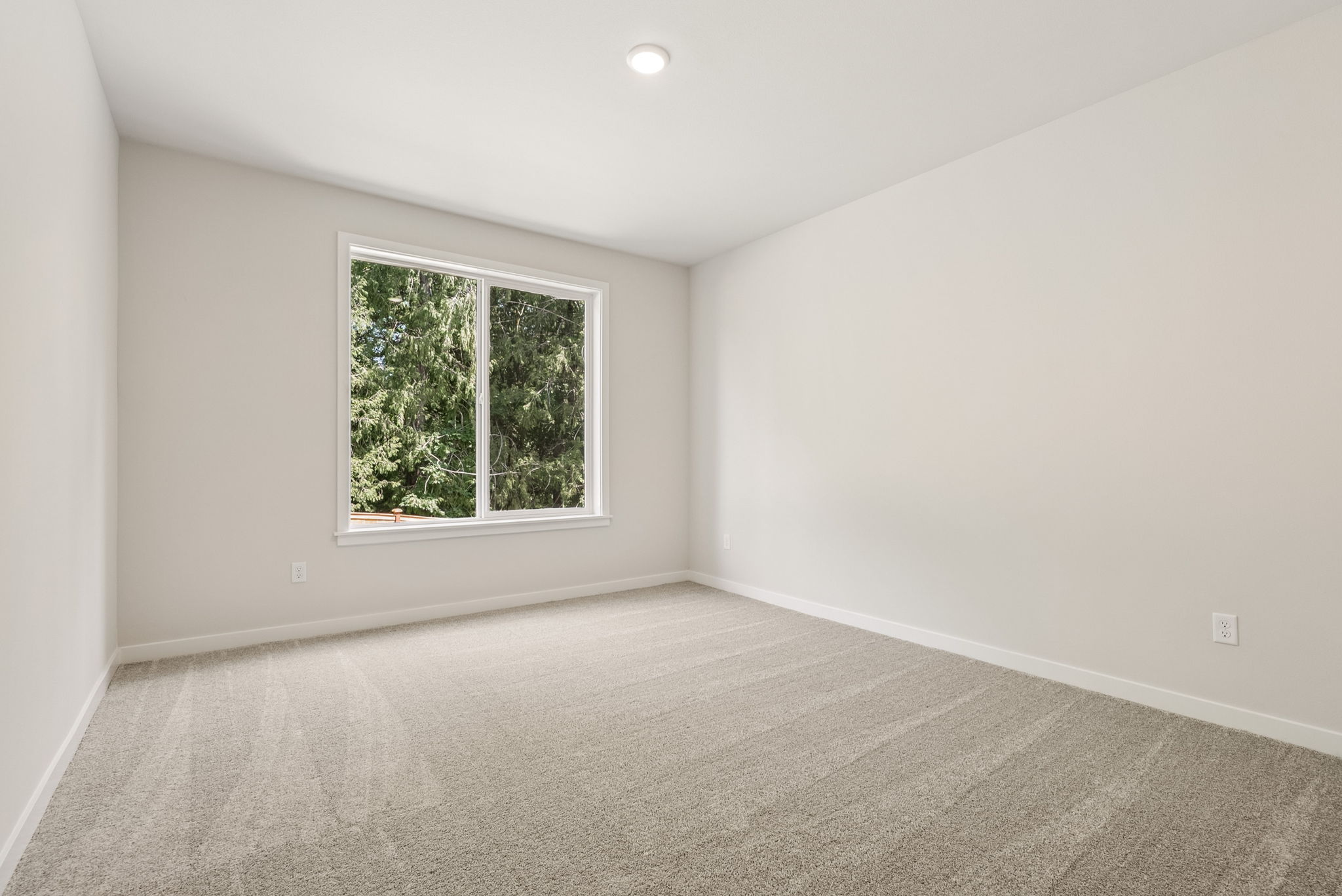 A room with a window and a carpet.