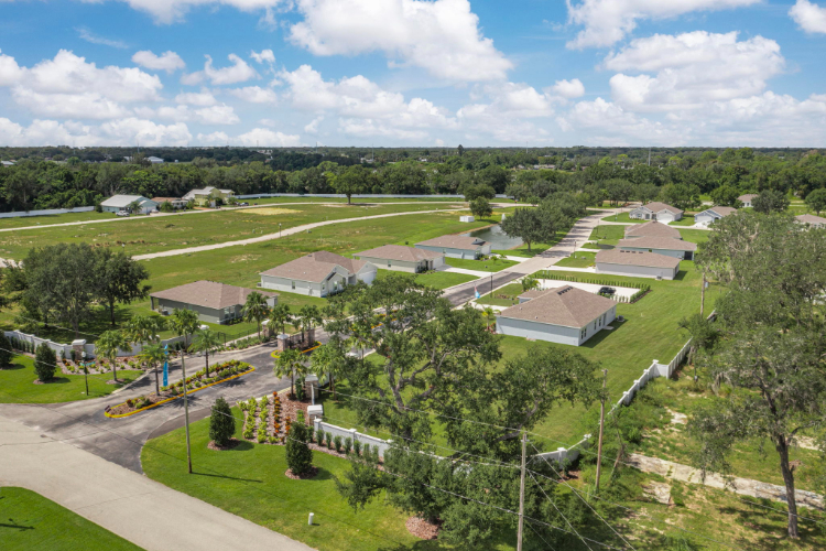 A landscape with trees and buildings.